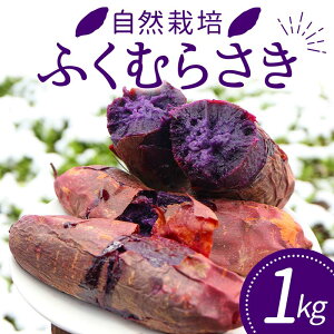 yӂ邳Ɣ[Łz R͔| ӂނ炳 1kg TCY ` ܂ Tc}C  F3S-1996