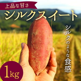 【ふるさと納税】 上品な甘さの【シルクスイート】1kg （栽培期間中、農薬、化学肥料不使用） さつまいも サツマイモ 芋 F3S-2001