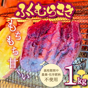 �y�ӂ邳�Ɣ[�Łz ��2026�N�H���n�� ��s�\�� �͔|���Ԓ��A�_��E���w�엿�s�g�p ���������Á`���w�ӂ��ނ炳���x1kg�i3�`5�{�j ���܂��� �T�c�}�C�� F3S-2616