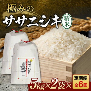 yӂ邳Ɣ[Łz  S6 ɂ݂̃TTjVLiāj10kgi5kg×2j×6    ӂ邳Ɣ[ R` Vs F3S-2416