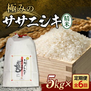 yӂ邳Ɣ[Łz  S6 ɂ݂̃TTjVLiāj5kg×6    ӂ邳Ɣ[ R` Vs F3S-2418