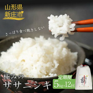 yӂ邳Ɣ[Łz  S12 ɂ݂̃TTjVLiāj5kg    ӂ邳Ɣ[ R` Vs F3S-2424