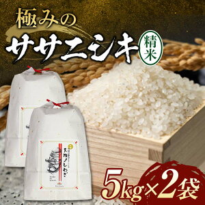 yӂ邳Ɣ[Łz ys\z ߘa7NY ɂ݂̃TTjVLiāj 10kgi5kg×2j    R` Vs F3S-2429