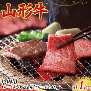 yӂ邳Ɣ[Łz qR`̋ɂ݁rR` ēp [X 500g [X 500g v 1kg  ɂ    ē o[xL[ BBQ Y R` R` Vs F3S-2437