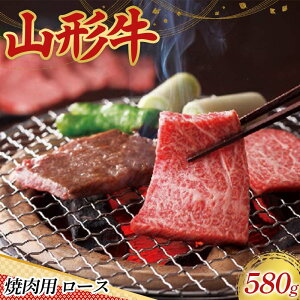 yӂ邳Ɣ[Łz qR`̋ɂ݁rR` ēp [X 580g  ɂ   ē o[xL[ BBQ Y R` R` Vs F3S-2438