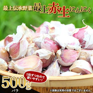 yӂ邳Ɣ[Łz s2026Nt ŏ` yŏԐɂɂz 500gioj ɂɂ jjN  K[bN  F3S-2481
