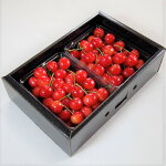 �ڤդ뤵��Ǽ�ǡۡ�ī�Τ꿷���������ɾ��ͥ���ޡ����������ȤΤ������ܽ��ʡֺ�ƣ�ӡ�700gL������