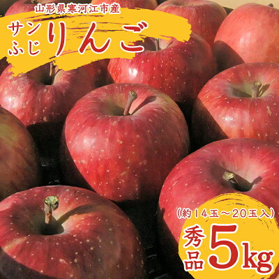 【ふるさと納税】【有機栽培】ふじりんご5kg秀品【減農薬栽培】サンふじ(14〜20玉)果物王国山形県産