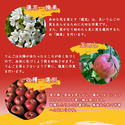 【ふるさと納税】【有機栽培】ふじりんご5kg秀品【減農薬栽培】サンふじ(14〜20玉)果物王国山形県産