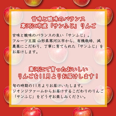 【ふるさと納税】【有機栽培】ふじりんご5kg秀品【減農薬栽培】サンふじ(14〜20玉)果物王国山形県産