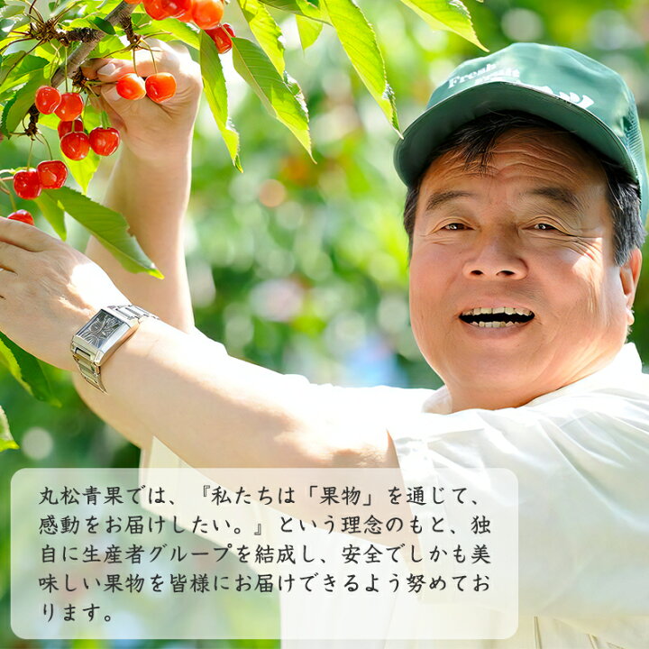 楽天市場】【ふるさと納税】 白桃 3kg 品種おまかせ (8〜16玉) 秀品 山形県産 【2022年8月上旬頃~9月下旬頃発送予定】/ 果物 フルーツ 果実 産地直送 新鮮 贈答 ギフト プレゼント 季節 東北 お取り寄せ ご当地 特産 ピーチ 果汁 2022年産 令和4年産 3キロ : 山形県寒河江市 楽天市場】【ふるさと納税】 白桃 3kg 品種おまかせ (8〜16玉) 秀品 山形県産 【2022年8月上旬頃~9月下旬頃発送予定】/ 果物 フルーツ 果実 産地直送 新鮮 贈答 ギフト プレゼント 季節 東北 お取り寄せ ご当地 特産 ピーチ 果汁 2022年産 令和4年産 3キロ : 山形県寒河江市