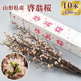 楽天市場 花束 切花 種類 植物 サクラ 花 観葉植物 花 ガーデン Diy の通販