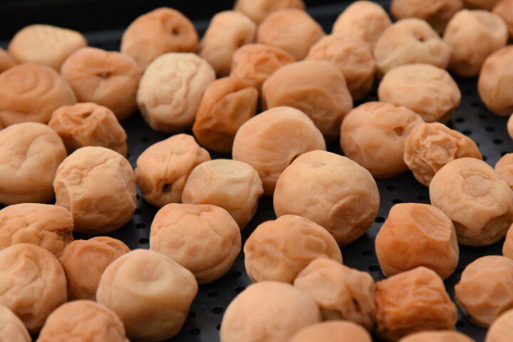 楽天市場 ふるさと納税 さがえ伝統野菜 谷沢梅 無添加 梅干し 1kg お取り寄せ グルメ 国産 山形県産 うめぼし 弁当 おにぎり 焼酎 水割 湯割 土産 山形県寒河江市