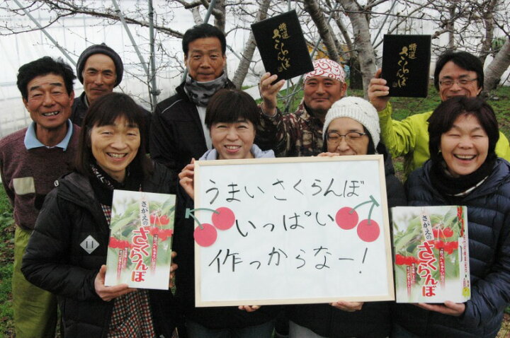 楽天市場】【ふるさと納税】 さくらんぼ 「 佐藤錦 」 500g 秀品 Lサイズ以上 農家直送 【2022年6月中旬頃~下旬頃発送予定】 / お取り寄せ ご当地 特産 フルーツ 果物 果実 くだもの グルメ 人気 高級 お裾分け 産地 東北 2022年産 令和4年 山形県産 500グラム : 山形県 ... 楽天市場】【ふるさと納税】 さくらんぼ 「 佐藤錦 」 500g 秀品 Lサイズ以上 農家直送 【2022年6月中旬頃~下旬頃発送予定】 / お取り寄せ ご当地 特産 フルーツ 果物 果実 くだもの グルメ 人気 高級 お裾分け 産地 東北 2022年産 令和4年 山形県産 500グラム : 山形県 ...