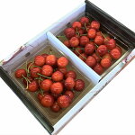 �ڤդ뤵��Ǽ�ǡۤ������ܡعȽ�������ɾ��1�̡�2�̡�3�̡����ޱ��ϤΥץ�ߥ��व������700g����γ���̥�������