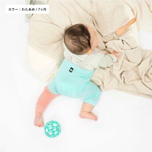 yӂ邳Ɣ[ŁzGEA baby! Rbg xr[ MX Sato-S2 @ satoseni y Ԃ  c xr[ 60 80  q Y{ j̎q ̎q aj oYj j    v[
