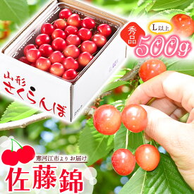 【ふるさと納税】【 500g ／ 1kg 】 2024年産 山形のさくらんぼ 「 佐藤錦 」 秀品 Lサイズ以上 《数量限定》【2024年6月中旬頃～6月下旬頃発送予定】 ／ 令和6年産 お取り寄せ グルメ フルーツ 果物 果実 くだもの サクランボ 農協 特産 東北