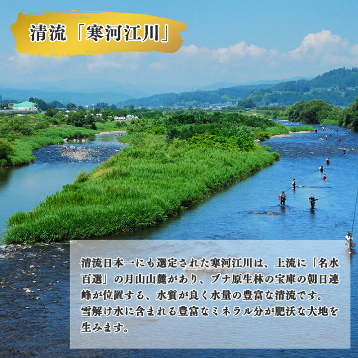 2400円 国内最安値! ふるさと納税 寒河江市 <便利で丁度イイ>山形の一等米 はえぬき10kg 008-C02 2400円 国内最安値! ふるさと納税 寒河江市 <便利で丁度イイ>山形の一等米 はえぬき10kg 008-C02