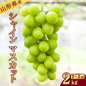yӂ邳Ɣ[ŁzR`Y sIׂtVN VC}XJbg 1kg - 2kg y2025N9{`10\z ^ Yn H t[c ʕ R` k lC  Ȃ {  VN 