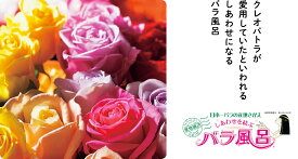 【ふるさと納税】ご自宅用 バラ風呂セット（選べる24輪または48輪）山形県産 【 薔薇 お取り寄せ 特産 産地直送 ばら ギフト プレゼント フラワー ローズ 花 祝 贈答 記念 植物 癒し 香り 豪華 女子力 彼女 妻 母 女性 友達 コスプレ バス リラックス 撮影 国産 東北 】