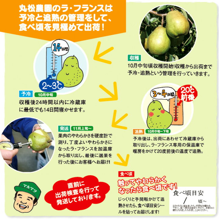 楽天市場】【ふるさと納税】 <先行予約>洋梨 「追熟 ラ・フランス 」 5kg (14~18玉) 【2022年10月末頃から2023年1月頃発送予定】沖縄・離島可 / お取り寄せ ご当地 特産 産地直送 果物 フルーツ 新鮮 お裾分け 季節 秋 冬 東北 ラフランス 2022年産 令和4年産 山形 ... 楽天市場】【ふるさと納税】 <先行予約>洋梨 「追熟 ラ・フランス 」 5kg (14~18玉) 【2022年10月末頃から2023年1月頃発送予定】沖縄・離島可 / お取り寄せ ご当地 特産 産地直送 果物 フルーツ 新鮮 お裾分け 季節 秋 冬 東北 ラフランス 2022年産 令和4年産 山形 ...