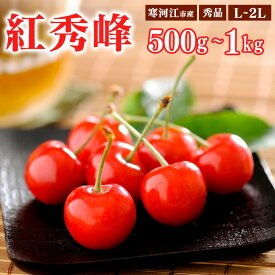 【ふるさと納税】《先行予約》令和8年産 さくらんぼ 選べる！ 「紅秀峰」 秀品 500g 1kg L~2Lサイズ 山形県産 2026年産 【2026年6月中旬頃〜7月上旬頃発送予定】 ※配送不可 沖縄・離島お取り寄せ ご当地 特産 フルーツ 果物 果実 くだもの サクランボ チェリー 東北