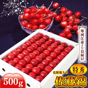 yӂ邳Ɣ[Łzss\t ߘa8NY  u  vGi 500g LTCY ϔ R`Y 2026NYy2026N6{6{\z zs E R`Y 