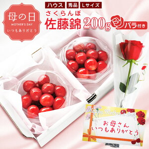 �y�ӂ邳�Ɣ[�Łz�y��s�\��z��̓��s�����͔|�t�������� �u ������ �v�G�i L�T�C�Y 200g�i100g×2�p�b�N�j�o���t���i���ԁj�ߘa8�N�Y �R�`���Y �y2026�N5��7���E8���E9�� �����\��z ���z��