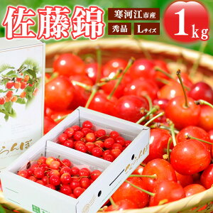 yӂ邳Ɣ[Łzss\t ߘa8NY  IׂIuсv Gi 500g 1kg LTCY R`Y 2026NY y2026N6{`{\z zs E  