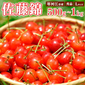 楽天市場】 果物 > さくらんぼ : 山形県寒河江市