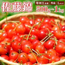 【ふるさと納税】《先行予約》 令和8年産 さくらんぼ 選べる！「佐藤錦」 秀品 500g 1kg Lサイズ 山形県産 2026年産 【2026年6月上旬頃〜下旬頃発送予定】 ※配送不可 沖縄・離島 お取り寄せ 特産 フルーツ 果物 果実 くだもの サクランボ 東北 ふるさと納税 果物 山形