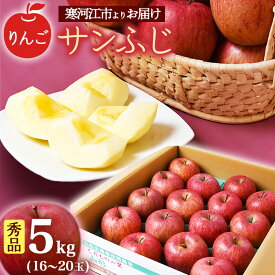 【ふるさと納税】【りんご】「サンふじ」5kg 秀品 （16～20玉）山形産 【2024年12月上旬頃～2025年1月中旬頃発送予定】 ／ 果物 フルーツ 林檎 アップル 果実 お取り寄せ ご当地 特産 産地 直送 贈答 ギフト 果汁 東北 山形県 2024年産 令和6年産 apple fruits