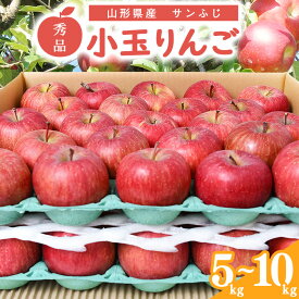 【ふるさと納税】小玉りんご「サンふじ」5kg - 10kg 秀品 【2026年1月上旬頃〜下旬頃発送予定】 ／ 選べる 量 お取り寄せ ご当地 特産 果物 フルーツ くだもの リンゴ 旬 林檎 食べきり 甘い 5キロ 10キロ 2025年産 令和7年産 東北 山形県