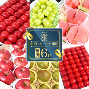 yӂ邳Ɣ[Łzss\ty6ցz Gi t[c  uv   VC}XJbg m   y2026N6{甭Jn\zzs E 