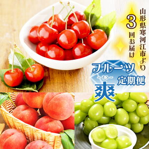 �y�ӂ邳�Ɣ[�Łz�s��s�\��t�ߘa8�N�Y 3������ �R�`���Y �u�t���[�c ����� �u�i�����j�v �y2026�N6����{�����甭���J�n�\��z���z���s�� ����E���� 2026�N�Y �ʕ� �������� ������ 