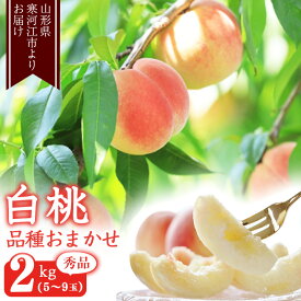 【ふるさと納税】選べる！ 山形の白桃 秀品1.4kg 2kg 3kg 5kg 品種おまかせ 秀品 山形県産【2025年8月上旬頃～9月下旬頃発送予定】／ 果物 フルーツ 果実 産地直送 新鮮 贈答 ギフト プレゼント 特産 2025年産 令和7年産 3キロ 1.4キロ 2キロ 5キロ ふるさと納税 桃