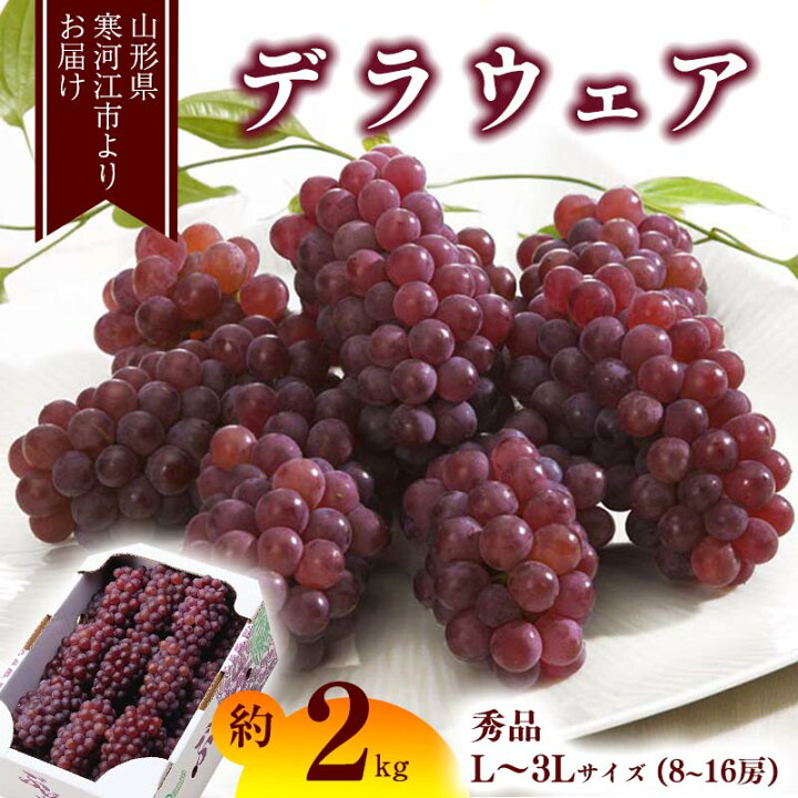 楽天市場 ふるさと納税 ぶどう デラウェア 約2kg 8 16房 秀品 果物 フルーツ 果実 葡萄 グレープ ブドウ 甘い 糖度 種なし ジューシー 特産 産地直送 新鮮 お取り寄せ ご当地 季節 夏 東北 23年産 令和5年産 山形県産 2キロ ふるさと納税 ぶどう 山形県