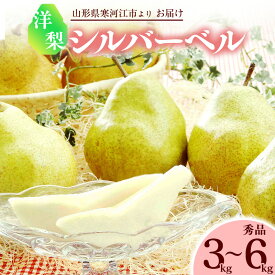 【ふるさと納税】《先行予約》 令和8年産 洋梨 「追熟 シルバーベル 」 秀品 選べる 3kg - 6kg L - 4L サイズおまかせ 山形県産【2026年12月頃から2027年1月頃発送予定】 2026年産 お取り寄せ 果物 くだもの フルーツ 果実 デザート おやつ 果汁 特産 産地直送 冬