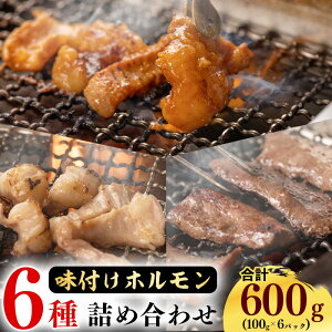 yӂ邳Ɣ[Łz2 ̃^ Hה ^ Y  z 600g(100g×6) X_ _ NxQIVNzI ^ Ă ē o[xL[ BBQ zĂ   ֗ 