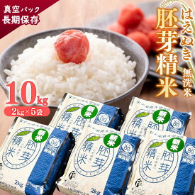 【ふるさと納税】 無洗米「はえぬき」胚芽精米 10kg（2kg×5袋）真空パック 山形県産 ／ お取り寄せ ごはん コメ 保存 保管 備蓄 小分け 個包装 ストック 防災 災害 使い切り キャンプ キューブ 長持ち 東北 山形 東北食糧 ふるさと納税 無洗米 はえぬき