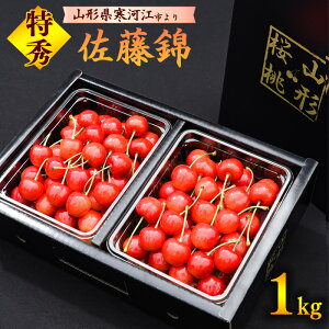 �y�ӂ邳�Ɣ[�Łz�y��s�\��z�ߘa8�N�Y �������� �u�����сv ���G�i 1kg�i500g×2�j 2L�T�C�Y�ȏ� 2026�N�Y �R�`���Y �y2026�N6����{���`���{�������\��z�� �z���s�� ����E���������� 