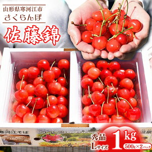 �y�ӂ邳�Ɣ[�Łz�y��s�\��z�ߘa8�N�Y �������� �u�����сv 500g �` 1kg�i500g×2�p�b�N�j�G�i L�T�C�Y�ȏ� 2026�N�Y �R�`���Y �y2026�N6����{���`���{�������\��z�� �z���s�� ����E�����t