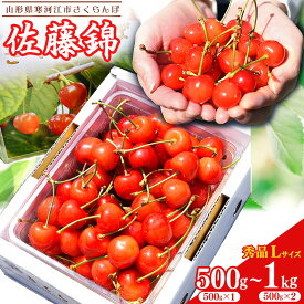 【ふるさと納税】【先行予約】令和8年産 さくらんぼ 「佐藤錦」 500g 〜 1kg（500g×2パック）秀品 Lサイズ以上 2026年産 山形県産 【2026年6月上旬頃〜下旬頃発送予定】※ 配送不可 沖縄・離島フルーツ 果物 果実 くだもの サクランボ