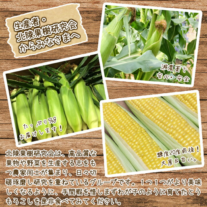 楽天市場】【ふるさと納税】【時期を選べる!】 朝採れ とうもろこし 5kg「おおもの」(10~13本) 《家庭用》 農家直送 【2022年8月頃~10 月頃発送予定】 沖縄・離島可 / お取り寄せ ご当地 特産 産地直送 トウモロコシ 夏 秋 野菜 季節 東北 2022年産 令和4年産 山形県 ... 楽天市場】【ふるさと納税】【時期を選べる!】 朝採れ とうもろこし 5kg「おおもの」(10~13本) 《家庭用》 農家直送 【2022年8月頃~10 月頃発送予定】 沖縄・離島可 / お取り寄せ ご当地 特産 産地直送 トウモロコシ 夏 秋 野菜 季節 東北 2022年産 令和4年産 山形県 ...