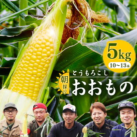 【ふるさと納税】【時期を選べる】 朝採り 農家直送 とうもろこし 5kg「おおもの」（10～13本） 山形産 【2024年8月頃～10月頃発送予定】 ／ 野菜 お取り寄せ ご当地 特産 産地直送 生産者直送 自宅用 家庭用 トウモロコシ 夏 秋 季節 東北 2024年産 令和6年産 山形県産