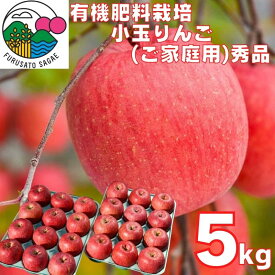 【ふるさと納税】りんご「サンふじ」秀品 5kg(24玉)ご自宅用 小玉サイズ 【2025年12月上旬頃〜下旬頃発送予定】/ お取り寄せ ご当地 特産 産地直送 果物 フルーツ 林檎 リンゴ 小ぶり 小さめ 果物 東北 2025年産 令和7年産 山形県産 5キロ