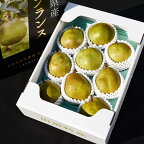 こだわりの ラ・フランス 3kg（8玉～9玉） 秀品 3L～4L 化粧箱入 山形産 【2024年11月頃～12月上旬頃発送予定】 ／ 果物 フルーツ 果実 梨 お取り寄せ ご当地 特産 農家直送 旬 秋 製菓 スイーツ デザート おやつ 東北 山形県 2024年産 令和6年産 3キロ