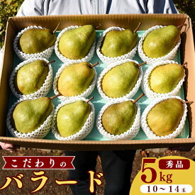 【ふるさと納税】《先行予約》 山形県産 洋梨 バラード 5kg（10玉 - 14玉）秀品 令和8年産【2026年10月上旬頃から中旬頃発送予定】 果物 フルーツ 果実 梨 お取り寄せ ご当地 特産 産地直送 農家直送 旬 秋 デザート おやつ 東北 山形県 5キロ 2026年産