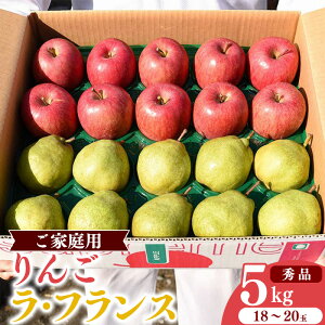 【ふるさと納税】山形県産 りんご と ラ・フランス 合計5kg(18〜20玉) 秀品 《ご家庭用》【2025年12月上旬頃〜下旬頃発送予定】/ お取り寄せ ご当地 特産 産地直送 果物 フルーツ 新鮮 季節
