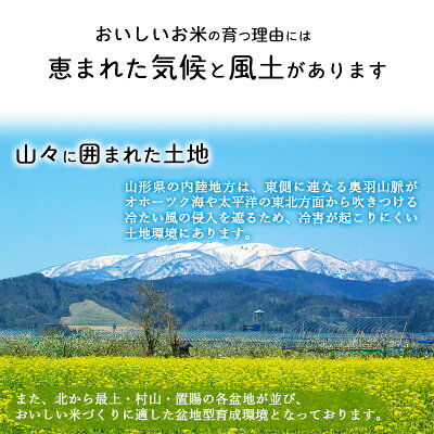 アイテムID:495642の画像5枚目